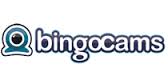 Bingo Cams